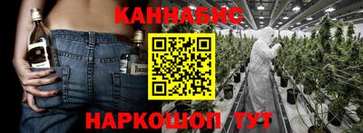 индика Кулебаки